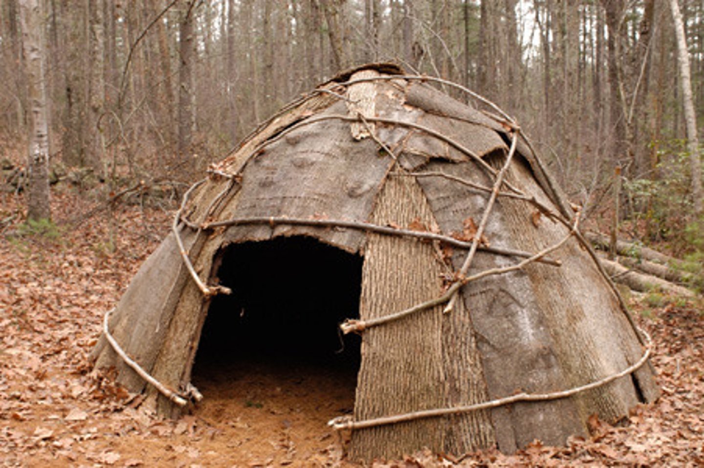 <p>Wigwams</p>