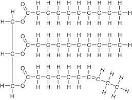 <p>Triglycerides are composed of a glycerol molecule bound to three fatty acids</p>