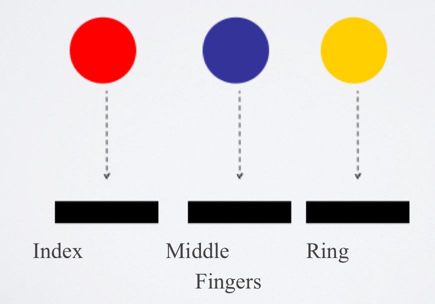 <p>the reaction time that involves more than one signal &amp; each signal requires its own specified response</p>