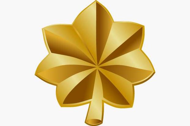 <p>one gold oak leaf</p>