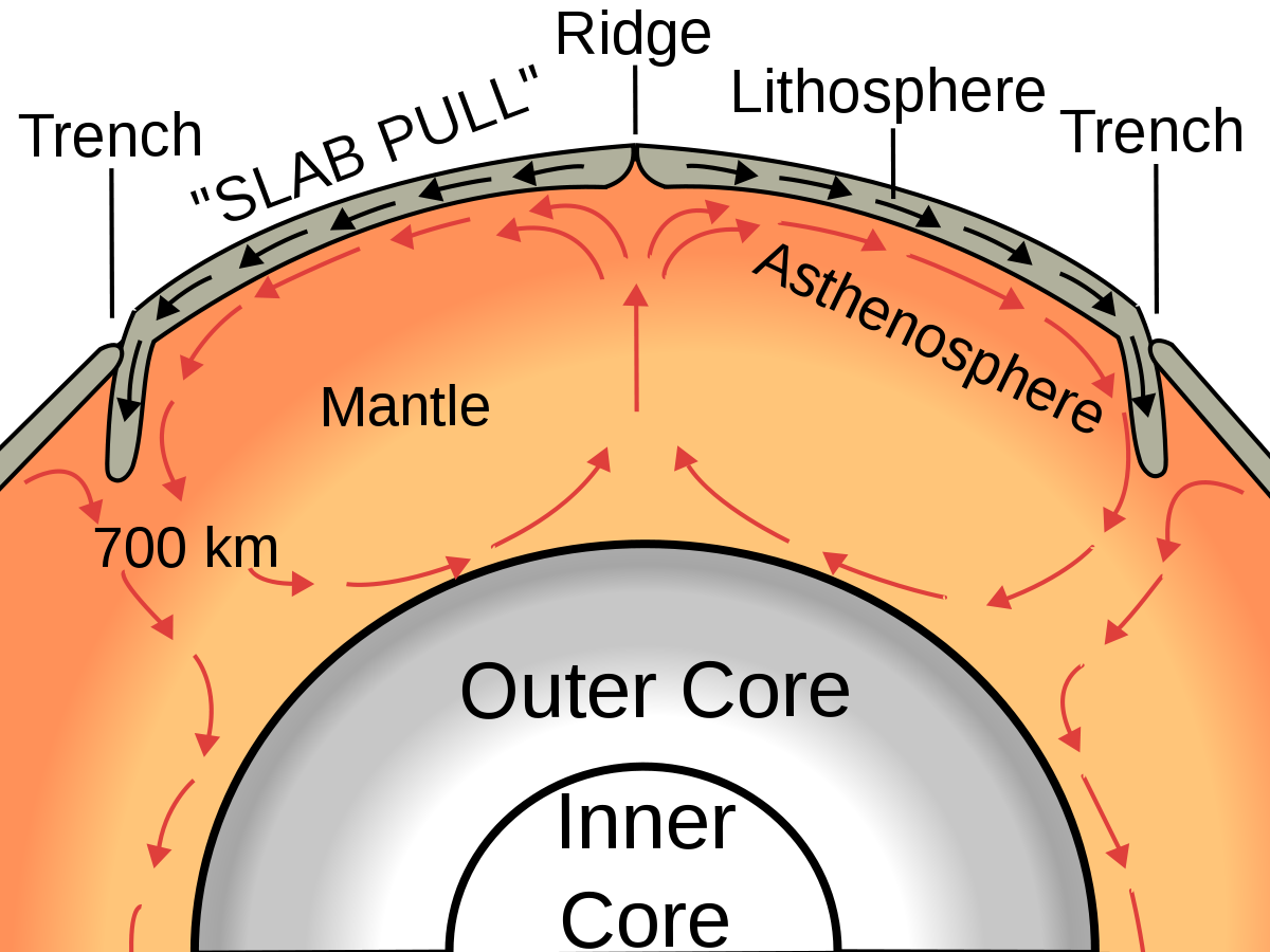 <p>Inner core </p><ul><li><p>Solid metal (iron) and nickel </p></li></ul><p>Outer core </p><ul><li><p>Liquid metal (iron and nickel)</p></li><li><p>Spins around inner core to create earth magnetic field</p></li><li><p>Heat of core is result of frictional forces + radioactive decay of elements - generates 44 trillion watts of heat to flow away from core into mantle </p></li></ul><p>Mantle </p><ul><li><p>Solid rock </p></li><li><p>Upper mantle = asthenosphere </p><ul><li><p>Is ductile/malleable and in places it is semi-molten</p></li></ul></li></ul><p>Crust</p><ul><li><p>Made up of oceanic and continental plates </p></li><li><p>Varies in depth 3-70km </p></li><li><p>Oceanic crust = thin, young, dense, heavy - made from basalt rock </p></li><li><p>Continental crust = thicker, older, lighter - made from different rock types (mostly granite)</p></li></ul>