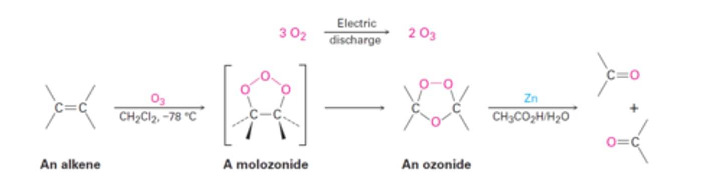 <p>aldehydes/ketones</p><p>cleaves C-C bond, adds O to ends</p>