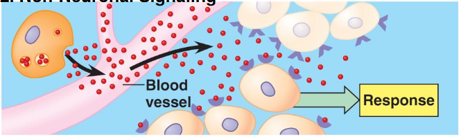 secretion into the blood, acting on distant tissues