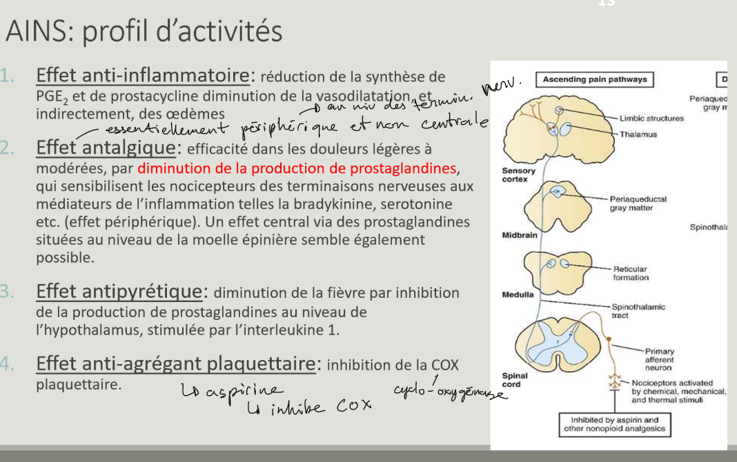 <p>Antalgiques, antipyrétiques, anti-inflammatoires, anti-agrégants.</p>