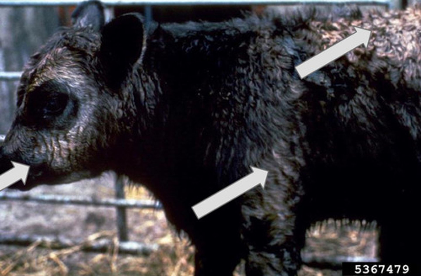 <p>What is this?</p>