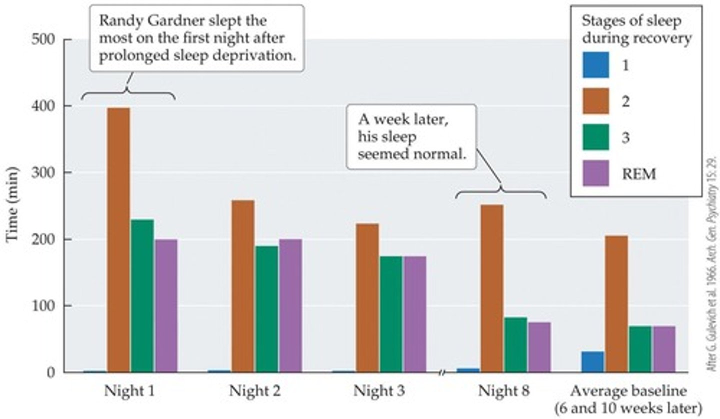 <p>Set record for staying awake 11 days.</p>