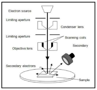 <p>Electrons shone onto a sample of nanoparticles giving a 3D image of the nanoparticles, however resolution is poorer.</p>