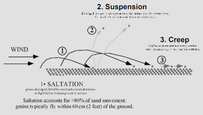 <p>Saltation, suspension, creep</p>