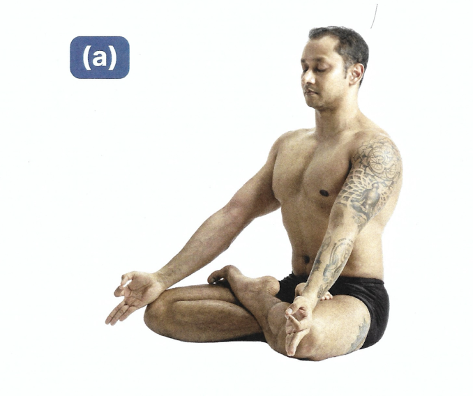 <p>Padmasana</p>
