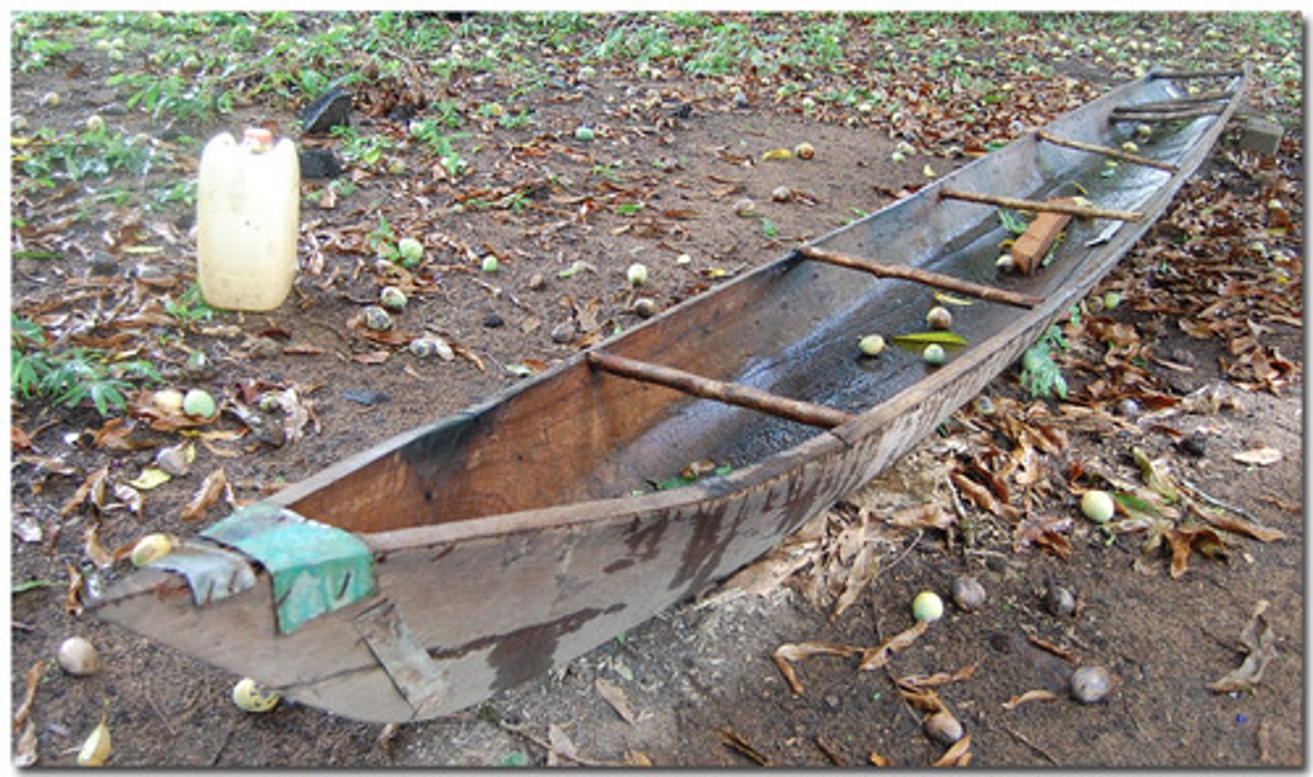<p>a dug-out canoe</p>