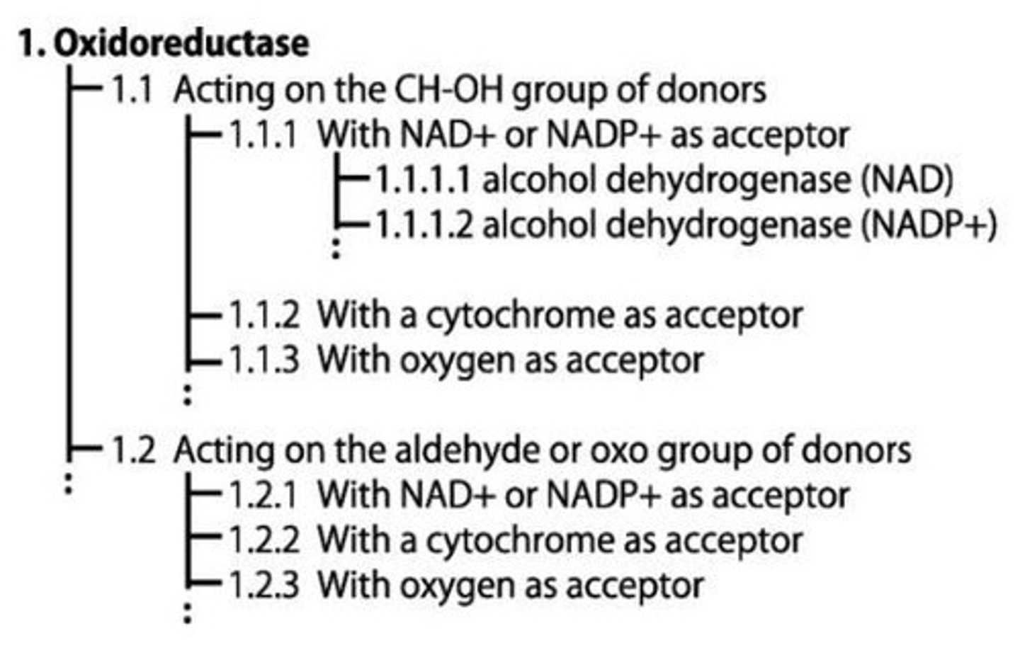 <p>EC1 - Simultaneous oxidation and reduction reactions.</p>