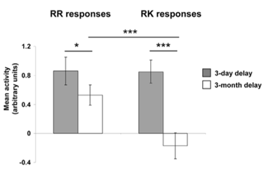<ul><li><p>HC amnesic patients impaired on R rather than K is word recognition</p></li></ul><p></p><p>Study: with RR the hippocampus is still active</p><p>with RK: the hippocampus is not active anymore (the memory has become semanticised)</p>