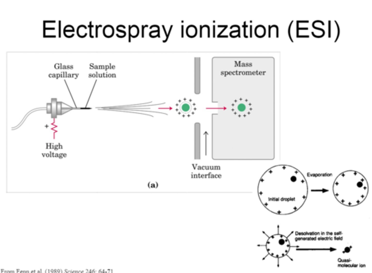 <p>Sample dissolved in volatile solvent then injected through needle to give fine mist which is attached to positive end of high voltage power supply, particles gain proton</p><p>NB- Mr of substance is actually one less than shown due to extra H+</p>