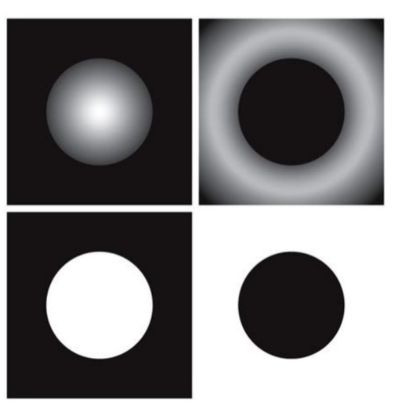 <ul><li><p>horizons of self-occlusion on smooth convex surfaces</p></li><li><p>powerful figure-ground cue</p></li></ul><p></p>