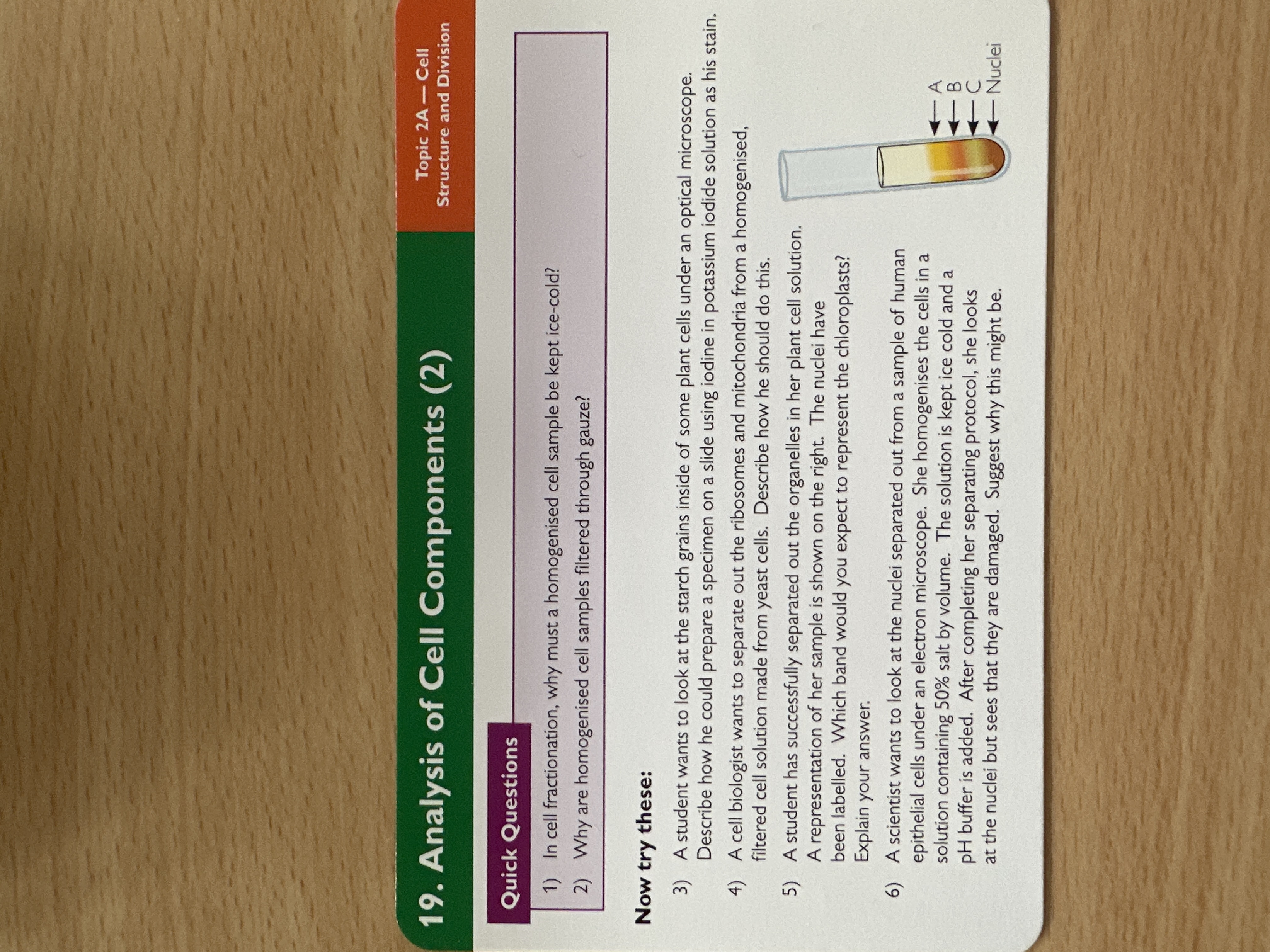 Analysis of cell components 