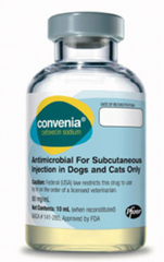<p>Cefovecin</p>
<p>Note:  Used SQ and offers 14 days of therapeutic drug levels for the treatment of skin infections and UTI's</p>
