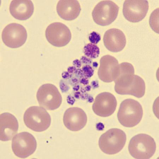 <p>What is this?</p>