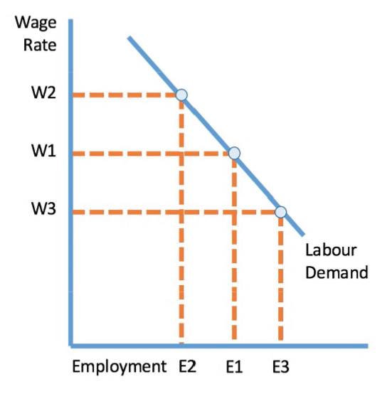 <p>Downwards sloping</p><ul><li><p>Because the substitute for labour is capital</p></li></ul><p></p>