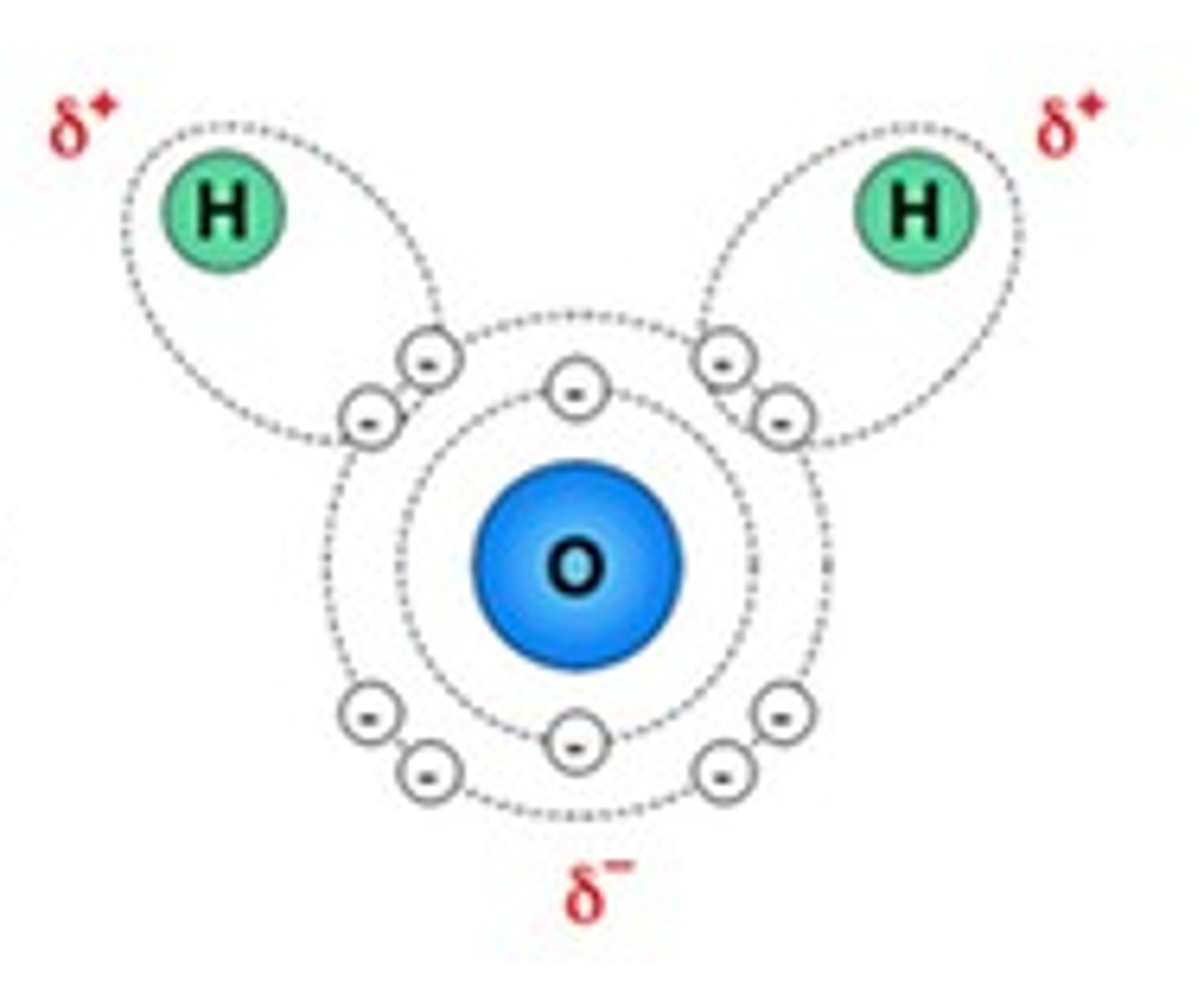 <p>Ionic solids dissolve in water because the force of attraction between the ions can be overcome by the force of attraction between the ions and water molecules. The lone electron pairs on the O atom make this end of the molecule more negative. In addition there is uneven sharing of the bonding electrons in the two H-O bonds of water. Oxygen more strongly attracts the bonding electrons (oxygen is more electronegative) than hydrogen. The hydrogen atoms are therefore less electronegative. The positive ions are therefore attracted to the O of water (delta negative) and the negative ions are attracted to the H atoms (delta positive)</p>