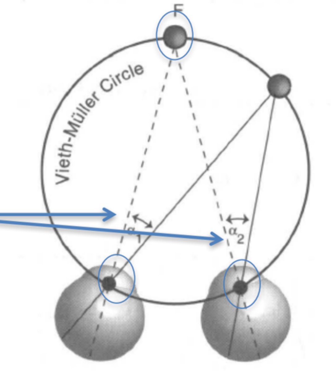 <p>The location of objects whose images fall on geometrically corresponding points in the two retinas.</p>