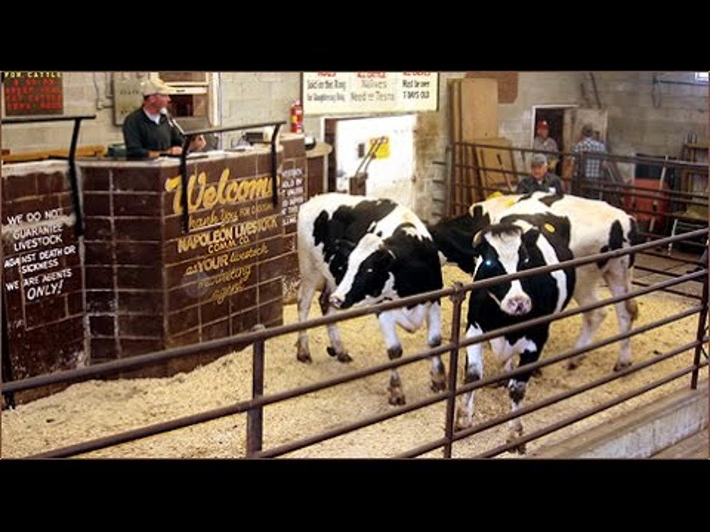 <p>Chapter: Setting the Terms of the Contract (The Classification of Contractual Terms: Conditions)</p><p>Facts: In a cow auction, the catalogue stated that they were unserved (had never borne a child) and were sold with all faults and imperfections. C asked if the cows were truly unserved which was confirmed. He then purchased a pregnant cow which later died from pregnancy and sued for breach of contract.</p><p>Principle: An oral statement made at the time of contracting may amount to a contractual term, overriding exclusion clauses if reliance is shown</p>