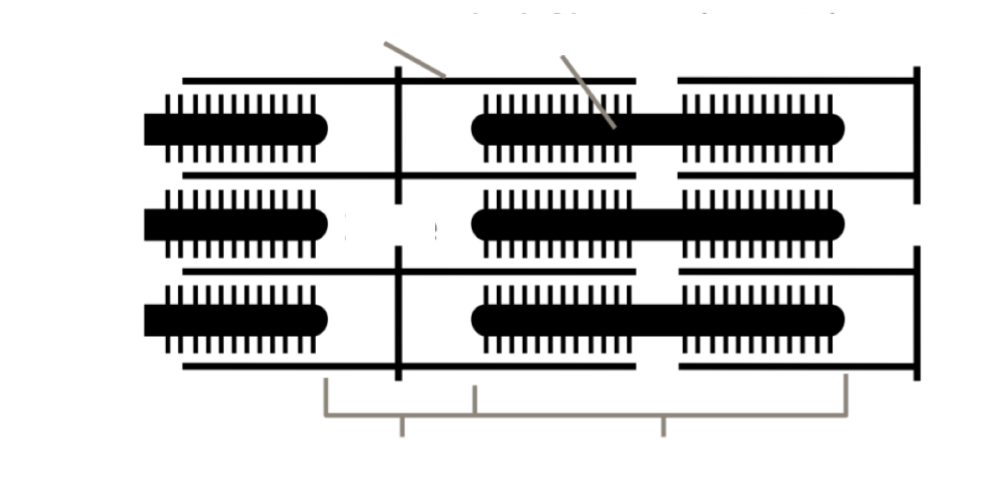 Name each section