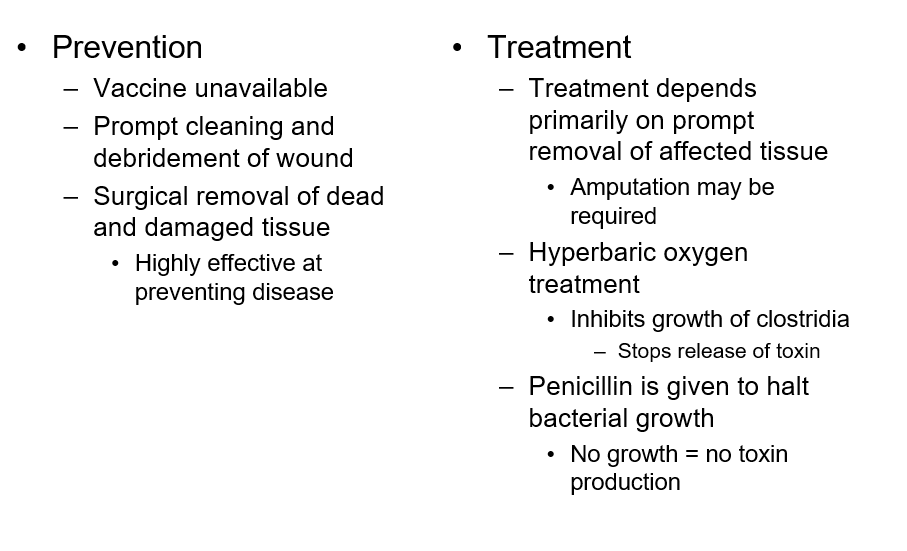 <ul><li><p>caused by</p><ul><li><p>presence of dirt and dead tissue in wound</p></li><li><p>long delays in treatment</p></li></ul></li><li><p>primarily disease of wartime</p><p></p></li></ul><p></p>