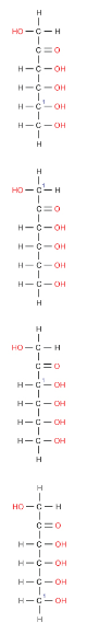 Which of the following molecules of psicose, a ketohexose, has the chiral carbon furthest from the carbonyl group marked with a 1?