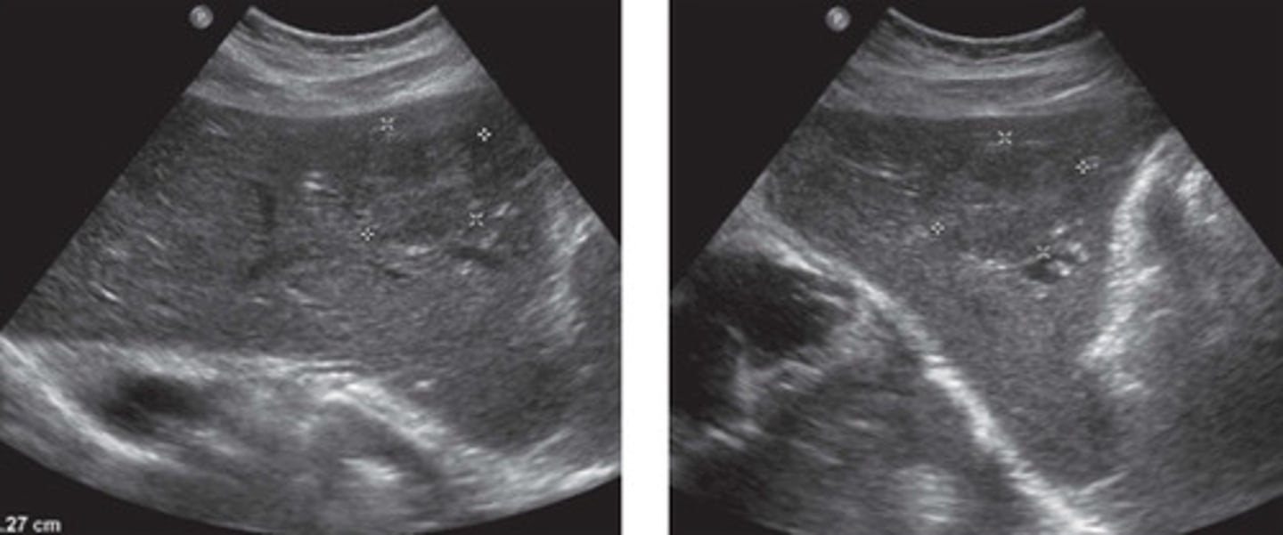 <p>What does this image show</p>