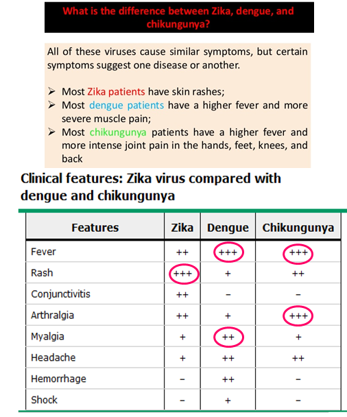 <p>Differentiation based on symptoms:</p><p><strong>Zika Virus: </strong>Rash is very prominent (+++)</p><p><strong>Dengue Virus:</strong> Myalgia is significant (++)</p><p><strong>Chikungunya: </strong>Arthralgia (Severe joint pain) = hallmark symptom</p>