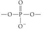 <p>What is the name of this functional group or linkage?</p>