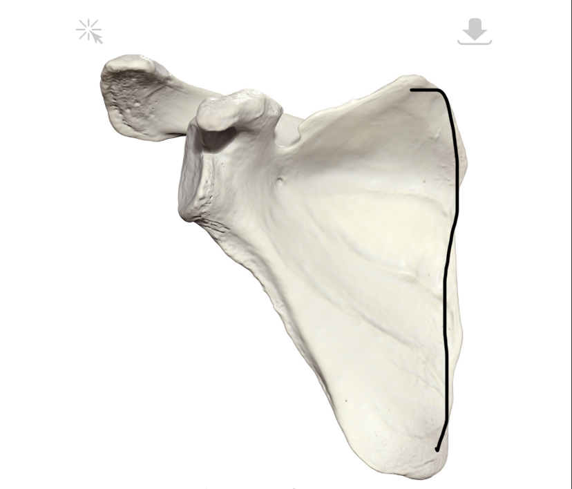 <p>Hoe heet dit deel?</p>