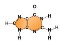 <p>which base ??? ಠಿ_ಠ (plus type)</p>