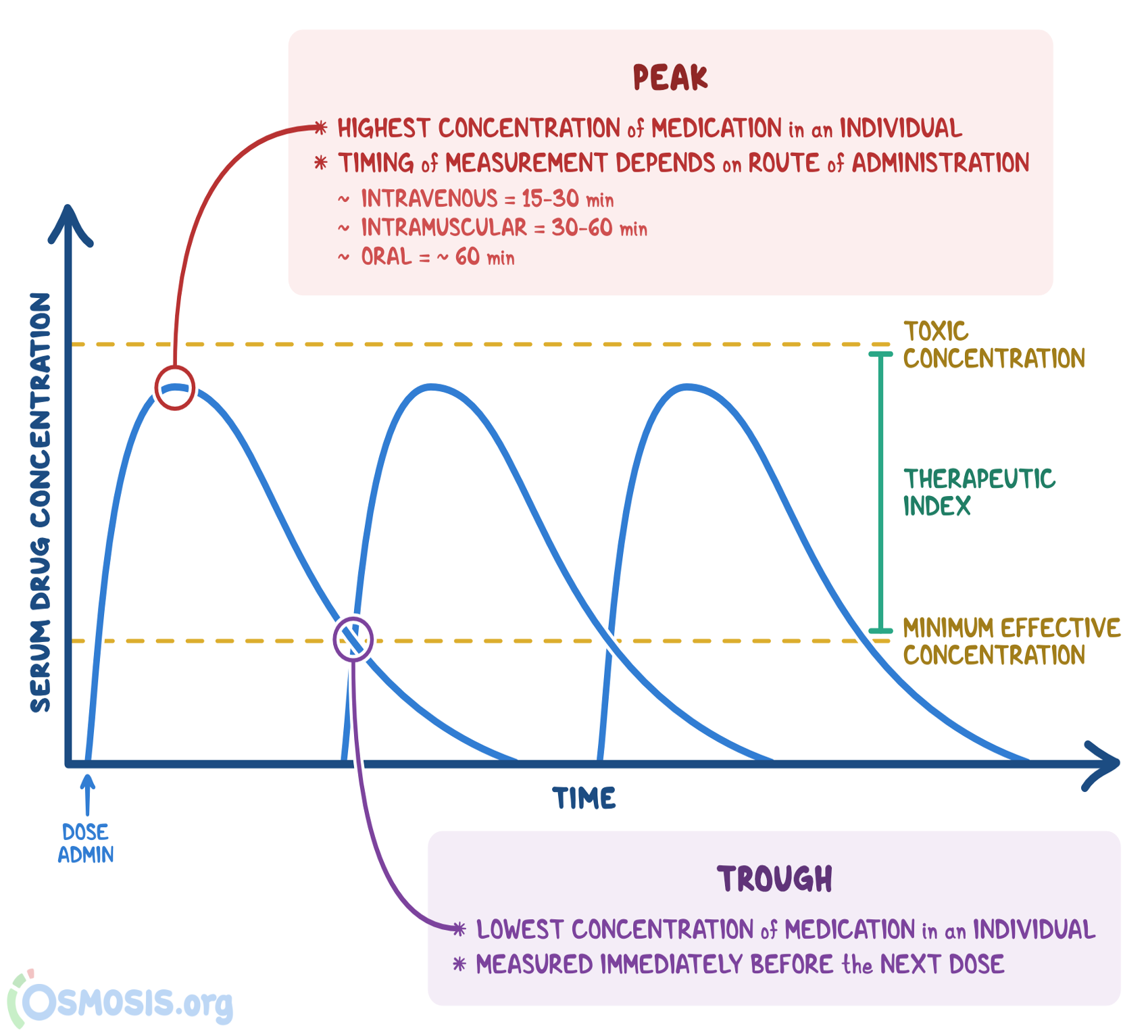 <p>The lowest concentration of a medication in an individual, it’s measured immediately before the next dose</p><p>Ex: think of it like the trenches (trough) —> the medication and it’s effects are in the trenches so it’s time to give the next one</p>