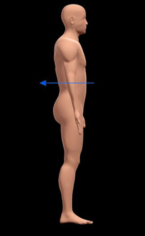 <p>Back side of the body.</p>