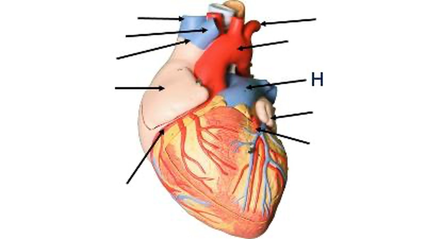 <p>What is this?</p>