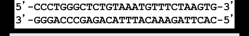 <p>You use the DNA sequence and primer below for a PCR reaction. What primer would you need to amplify the other strand?</p>
