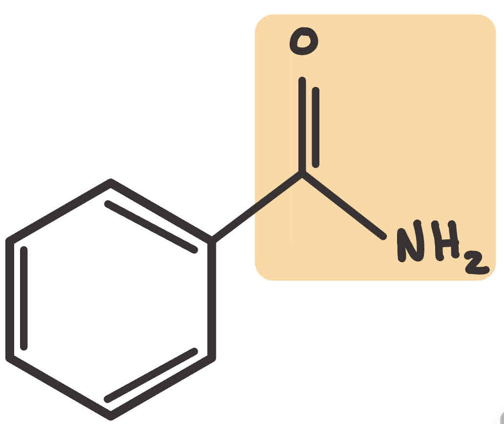 <p>What is the name of this parent?</p>