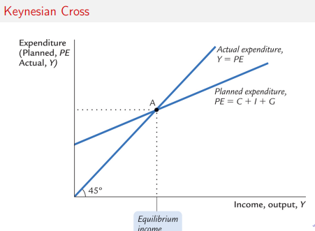 <p>The Keynesian Cross shows that the economy reaches equilibrium when <strong>planned expenditure equals actual output</strong> (Y=PE)(Y = PE)(Y=PE), which determines the level of <strong>income/output</strong> in the short run. It highlights how changes in spending (like government spending) shift planned expenditure and lead to <strong>multiplied changes in output</strong>, explaining demand-driven fluctuations.</p>