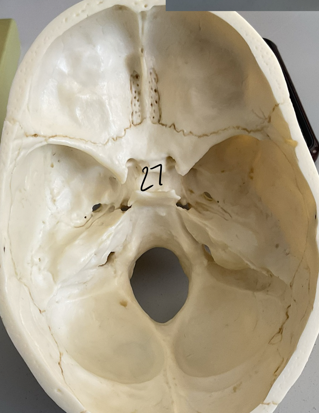 <p>27</p>