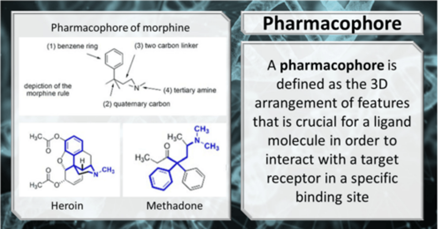 <p>Set of structural features (chemistry) in a molecule that is:</p><p>- recognized at receptor site</p><p>- responsible for that molecule's pharmacological/biological activity</p>