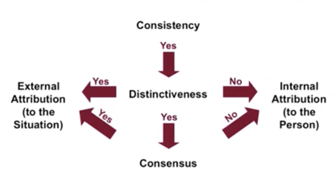 <ul><li><p><strong>we use behavior information or consistency, distinctiveness, and consensus to make attributions </strong></p></li><li><p>Bob can never fix his car in Auto Shop A, but in Autoshop B he is able to </p><ul><li><p>something about A is making him not fix it </p></li><li><p>If he can’t fix it in auto shops A and B maybe he is a louse mechanic </p></li><li><p>If everyone in Auto A can’t fix cars, then there is an issue with the shop </p></li><li><p>If Bob is the only one unable to fix it in Auto Shop A he is the issue </p></li></ul></li></ul>