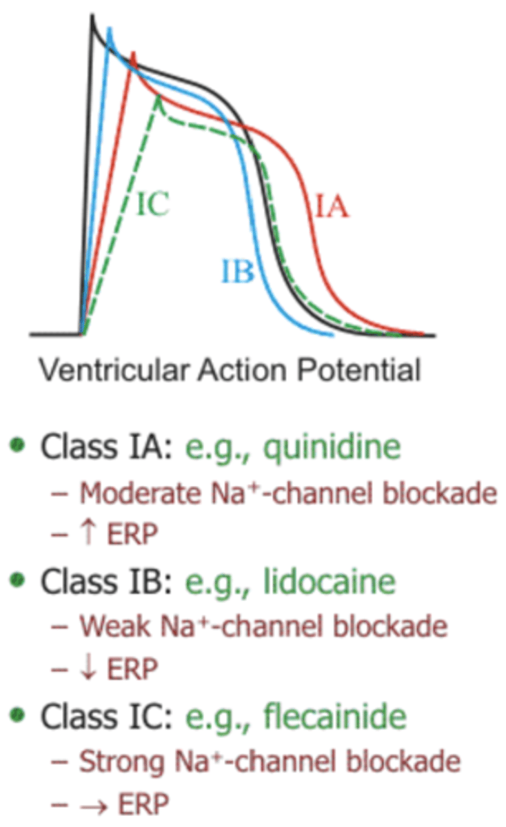 <p>Na+ blockade: Ic (strongest) > Ia > Ib (weakest)</p><p>Effect on ERP:</p><p>- Increased by Ia</p><p>- Minimal to effect from Ic</p><p>- Decreased by Ib</p>