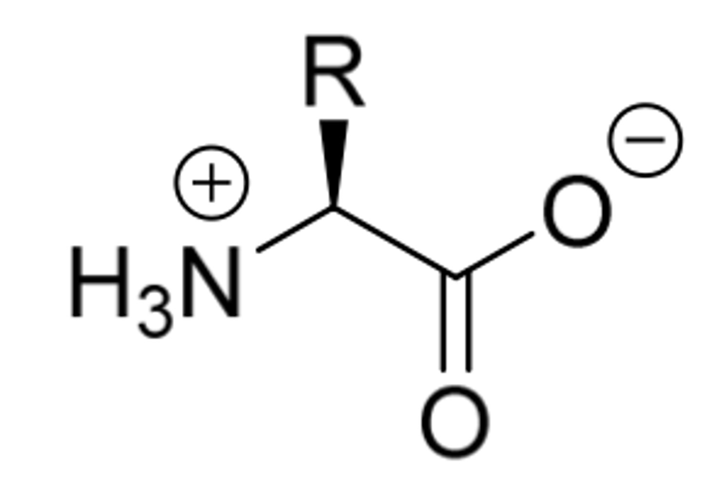 <p>What is this molecule and describe?</p>