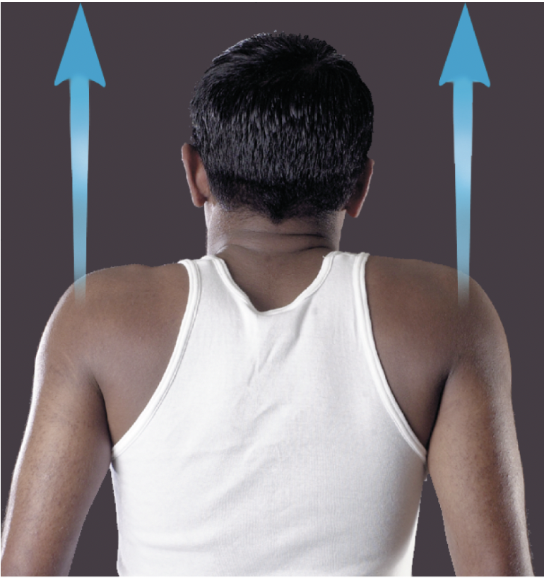 <p>a movement that raises a body part vertically in the frontal plane</p>