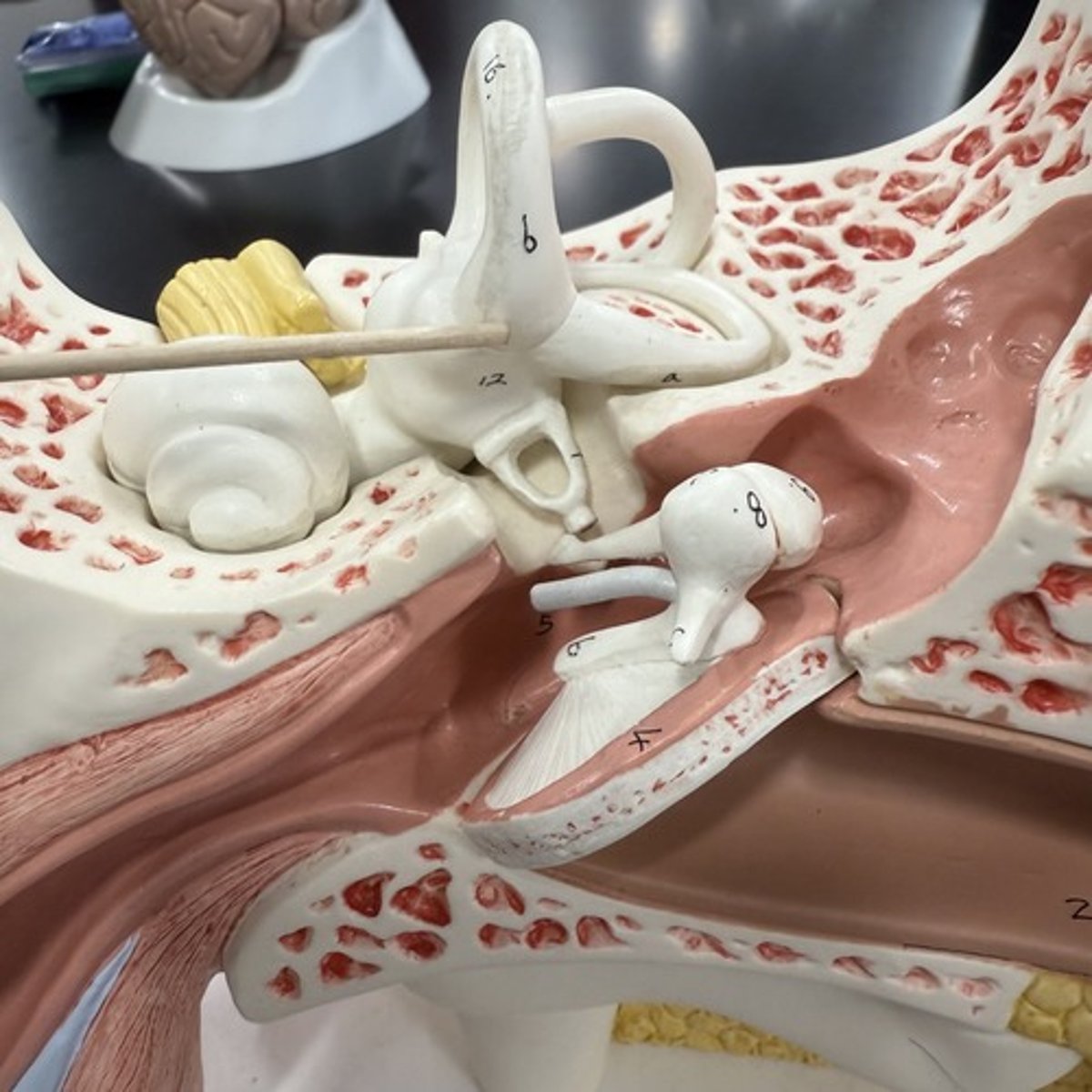 <p>What is this structure?</p>