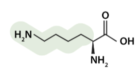 <p>what aa is this</p>