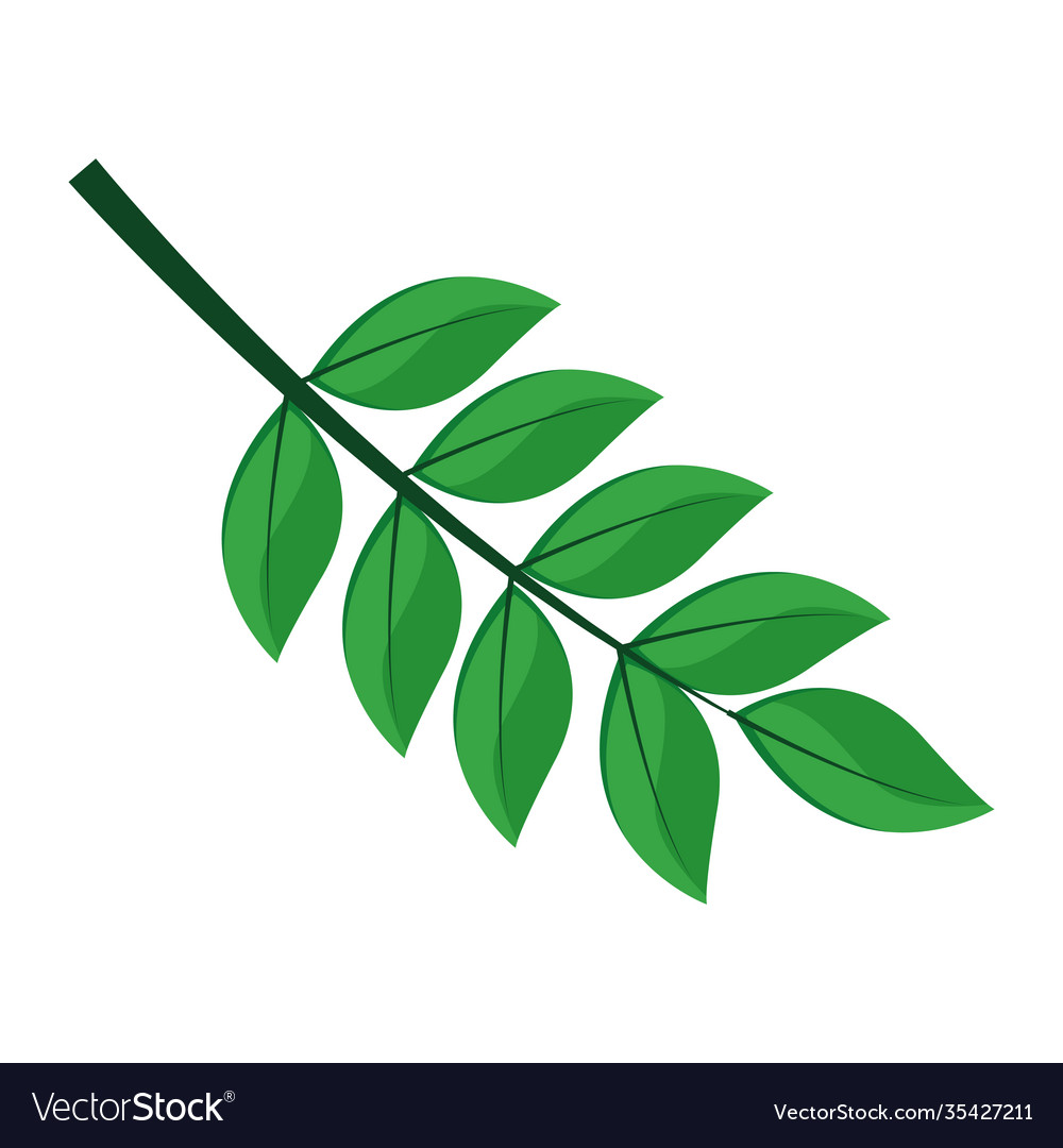 Is this leaf pinnate or palmate? Simple or complex?
