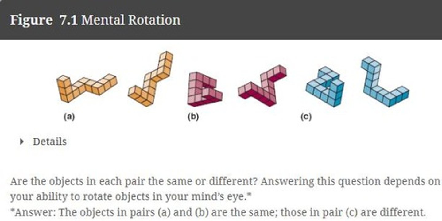 <p>rotating visual images in the mind</p>