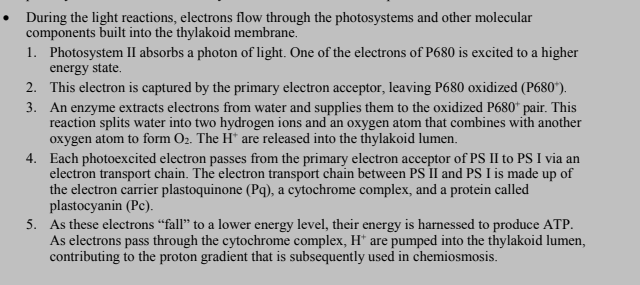 <p>light reactions part 1</p>